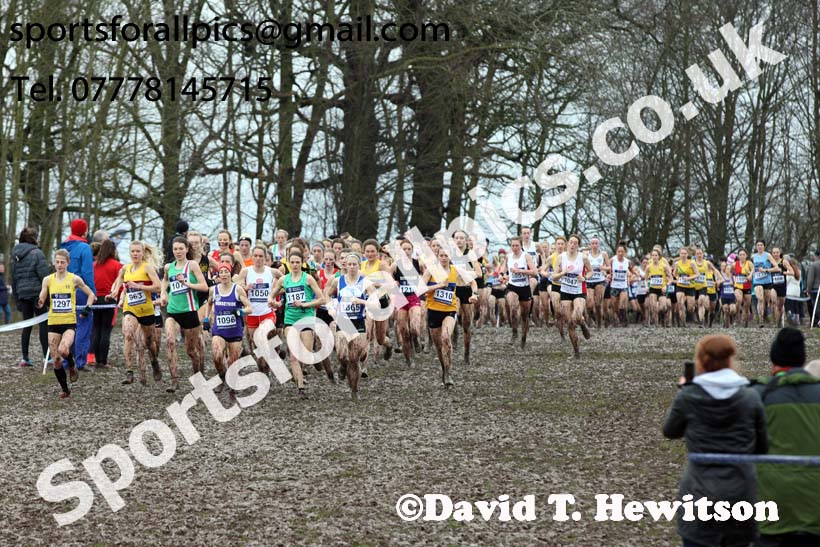Senior womens 2018 British Inter Counties Cross Country Champs., Prestwold Hall, Loughborough. Photo: David T. Hewitson/Sports for All Pics
